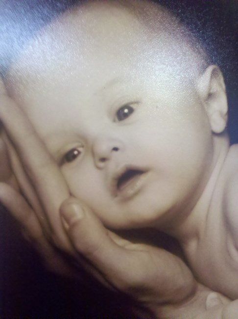 Obituary of Bradley James Steiner