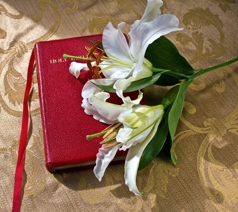 Obituary of Katherine Brown Jones