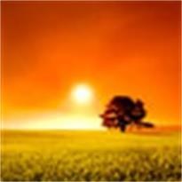 Obituario de Joseph Reed Jenkinson