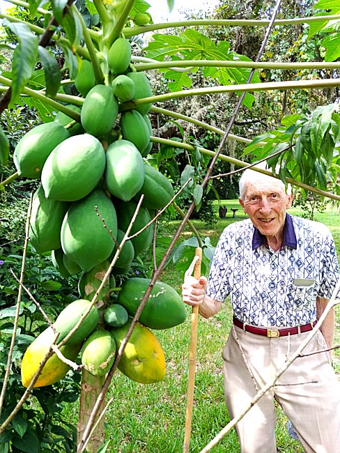 obituary image