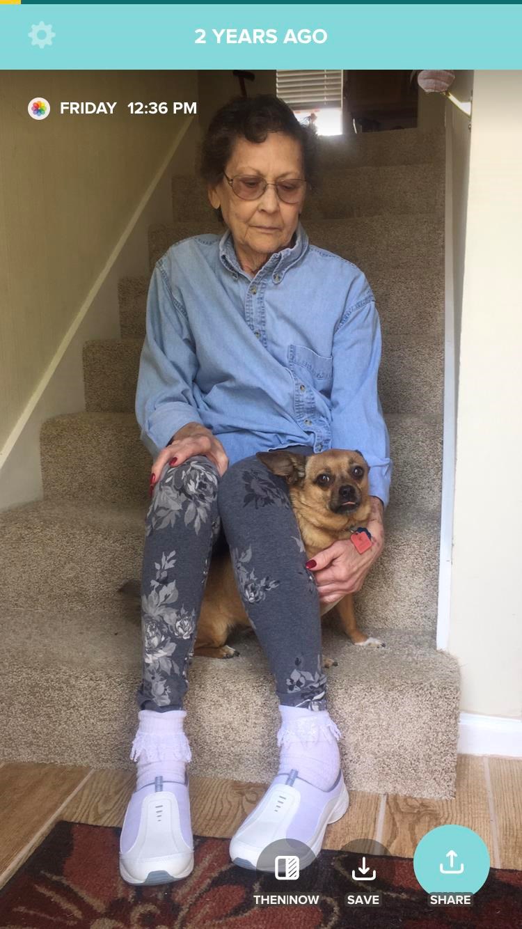 Obituary of Donna Cook