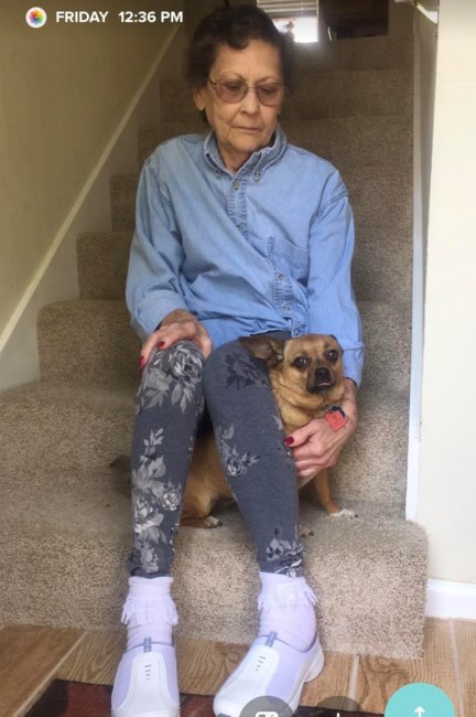 Obituary of Donna Cook