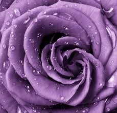 Obituary of Anne Quintano