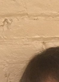 Lesa Reneau Obituary - Marlin, TX