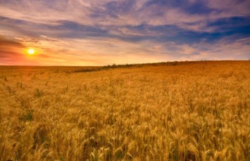 Obituary of Jon Paul Luiten