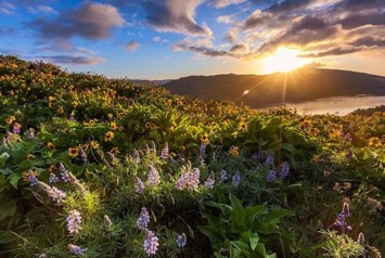 Obituary of Barbara Gail Holland