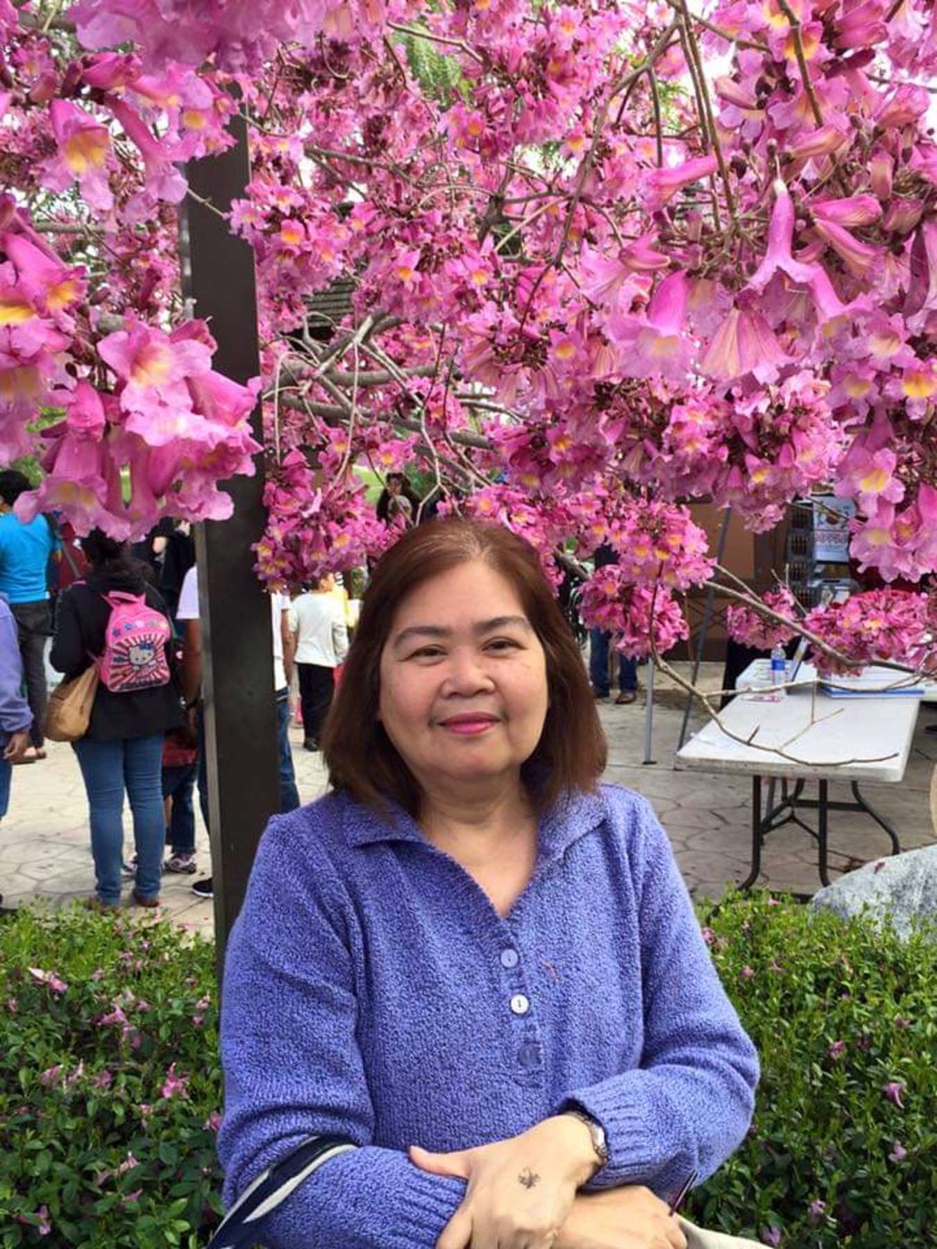 Obituary of Rosalinda Canlas David