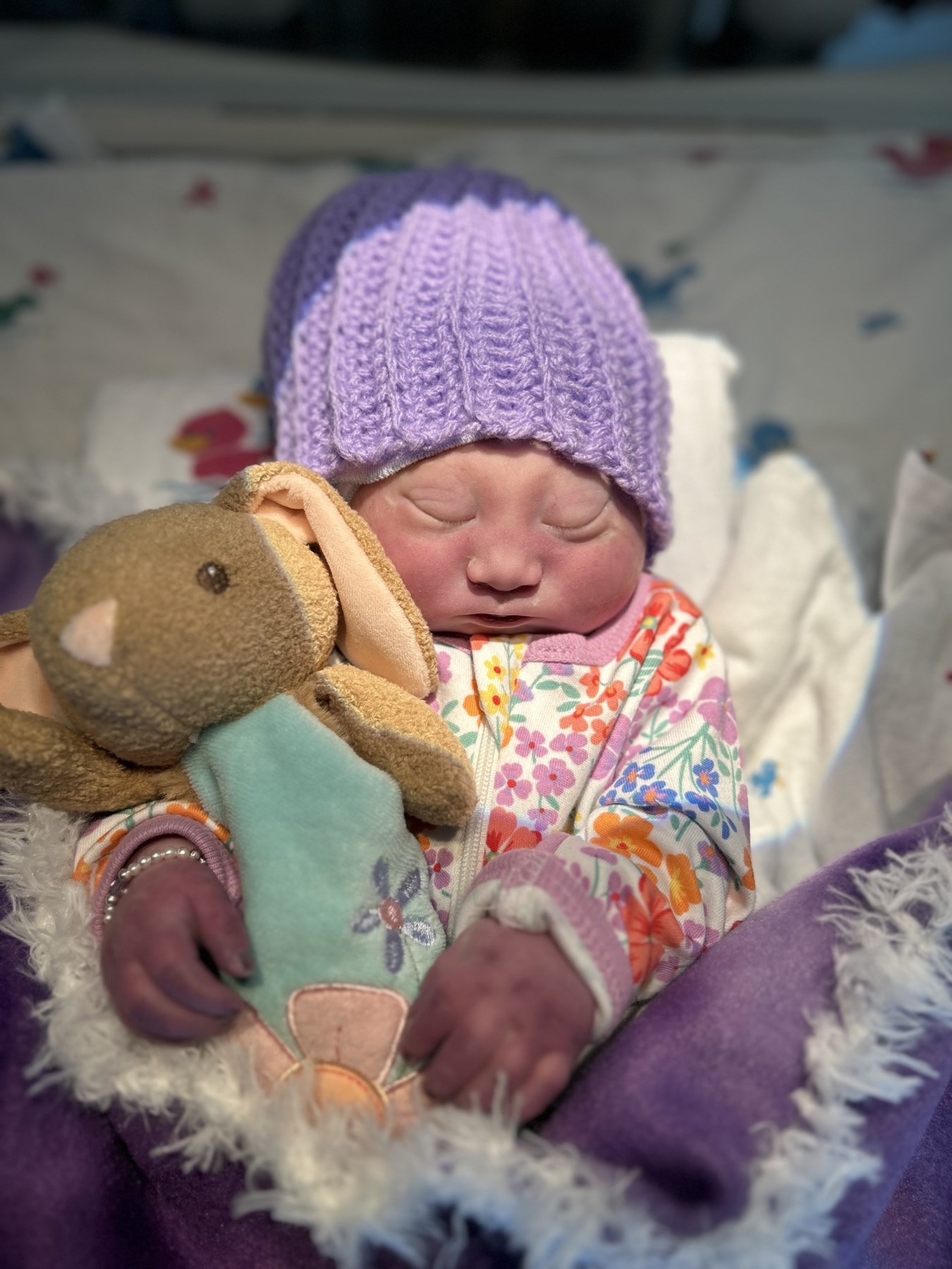 Obituary of Diana Lee Shortridge