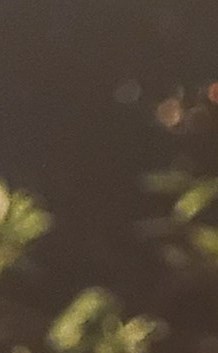 James Scott's Instagram, Twitter & Facebook on IDCrawl