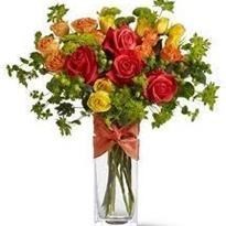 Obituary of Connie Craig