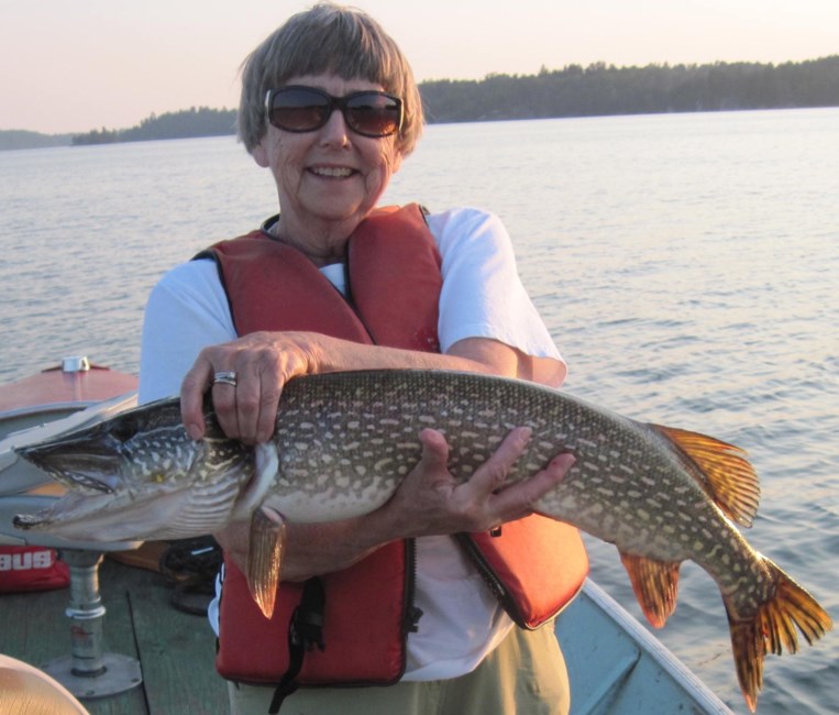 Obituary of Patsy Ann Hentzen