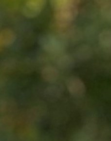 Walter Rutherford Obituary - Deer Park, NY