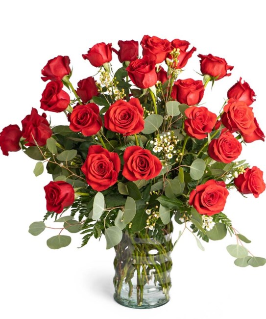 Obituary of Idania P Garcia