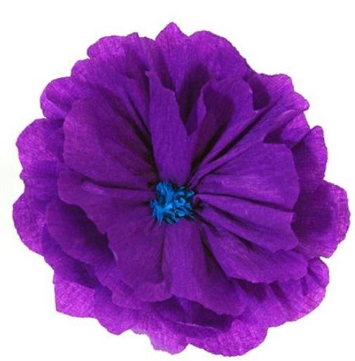 Obituary of Joyce Marie Draper