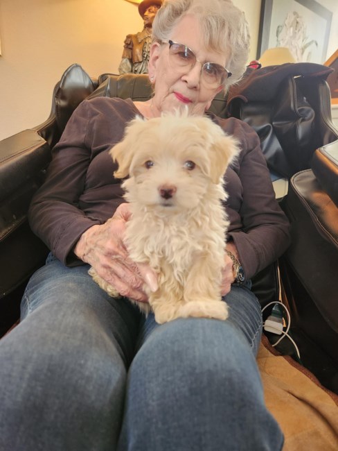 Avis de décès de Mary Margaret Miller