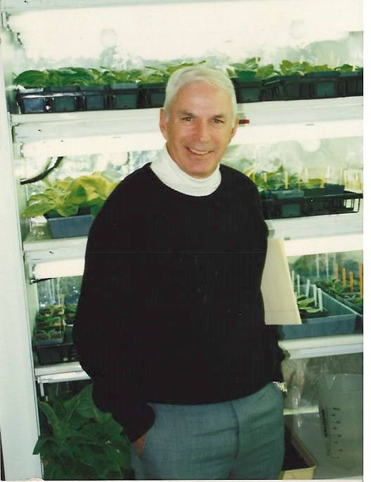 Obituary of Earl Allen Wernsman, Ph.D.