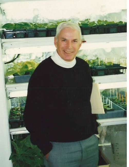 Obituary of Earl Allen Wernsman, Ph.D.