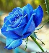 Obituary of Bryan Joseph Rohde