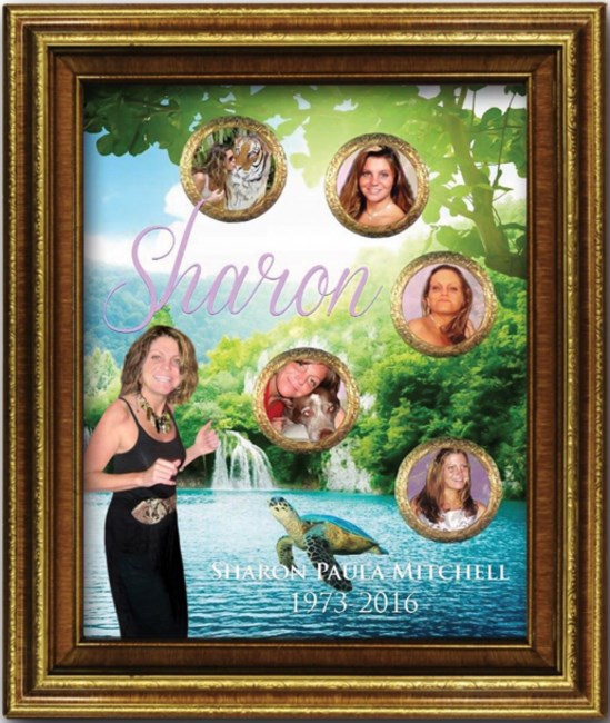 Obituary of Sharon Paula Mitchell