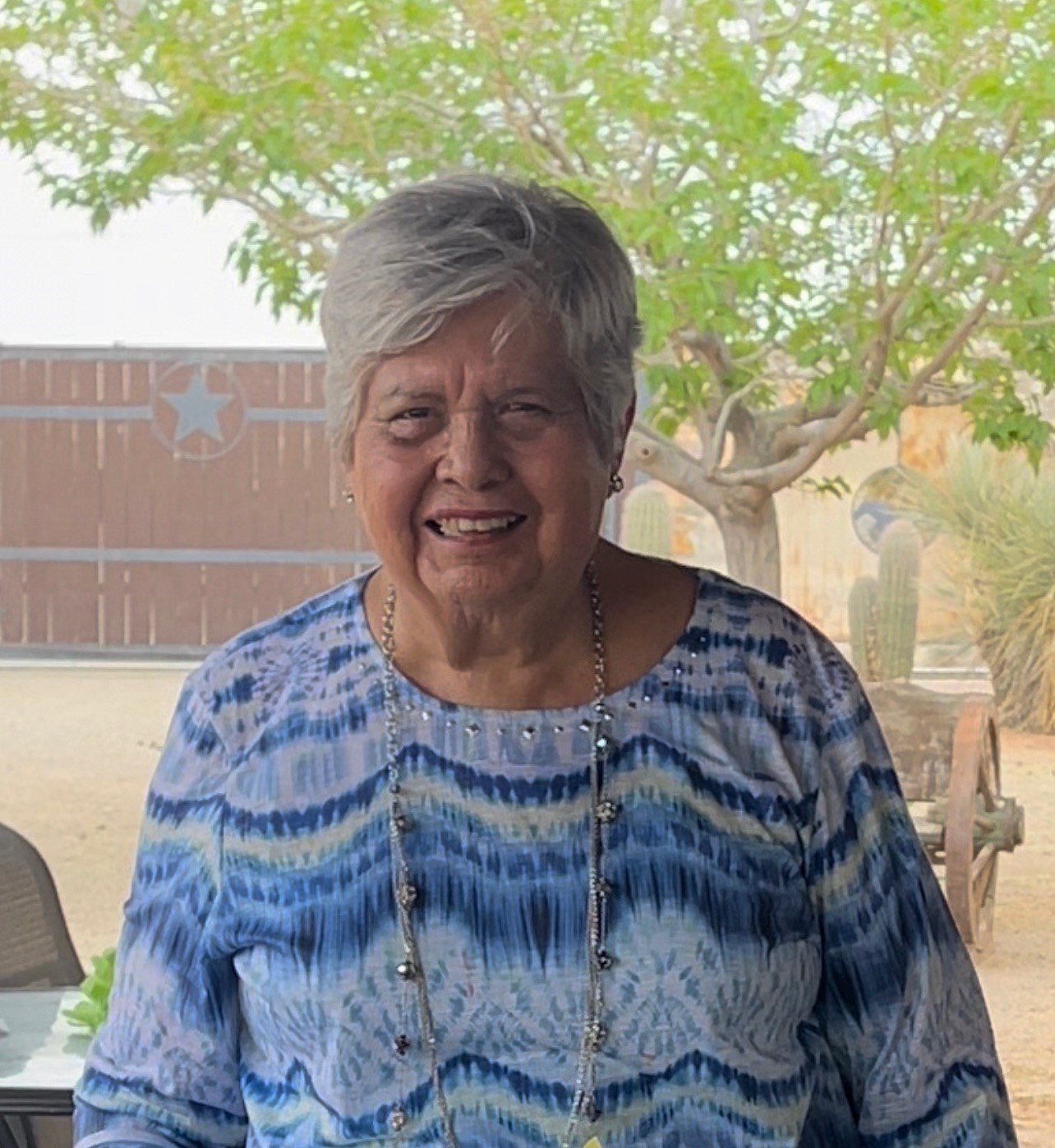 Obituary of Amalia V. Lopez