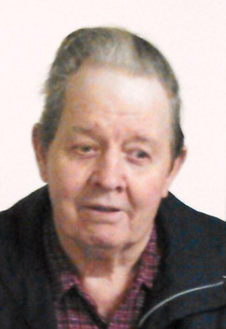 Obituary of David Lee Riggleman
