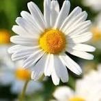 Obituary of Juana Rivera Rodriguez