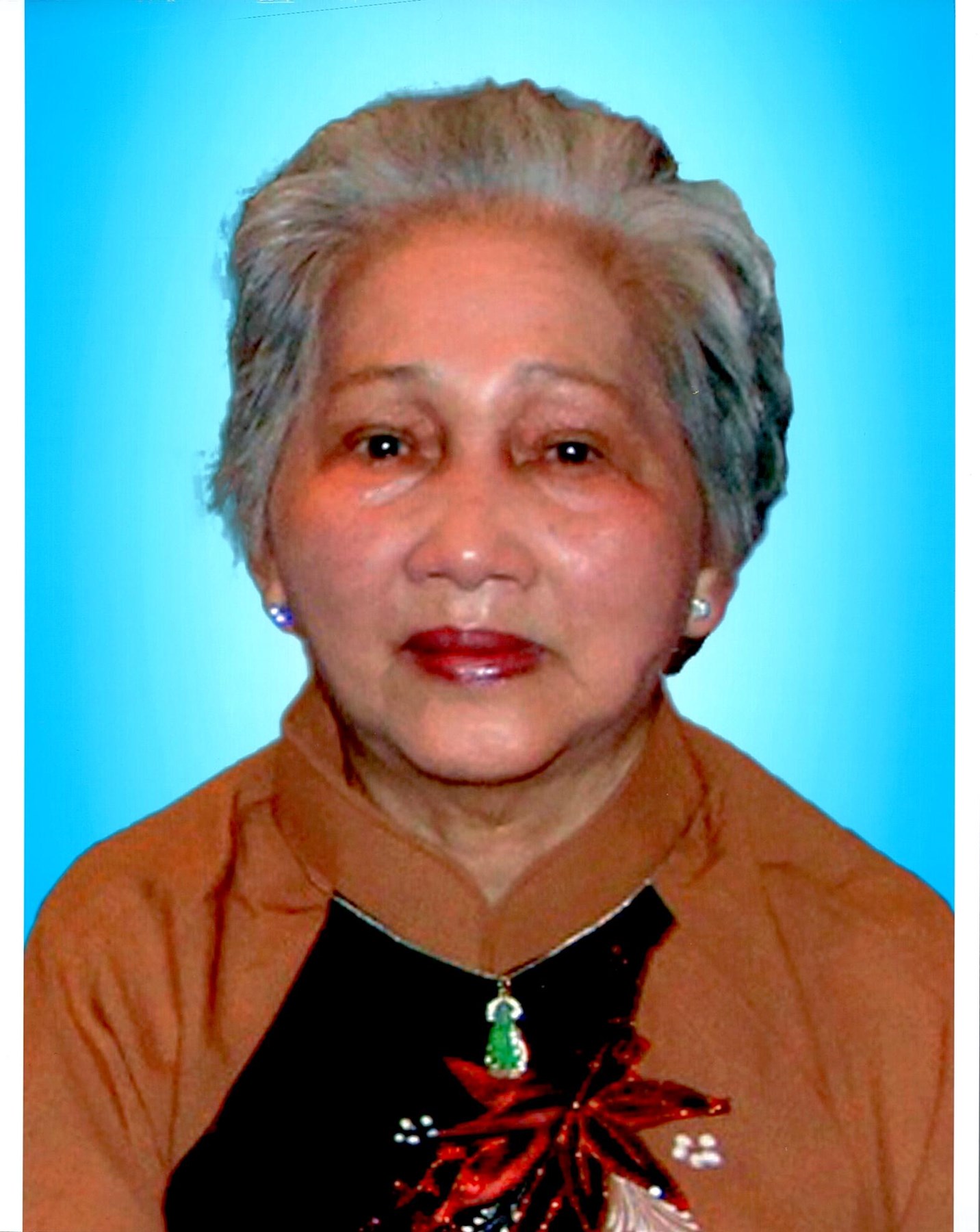 Obituary of Hue Thi Vo