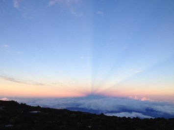 Obituary of Louise H Quinn