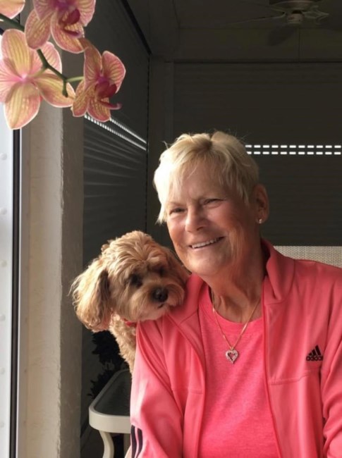 Obituary of Patricia Daisy Petrella-Schook