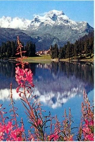 Obituary of Aida Luz Negron Arce