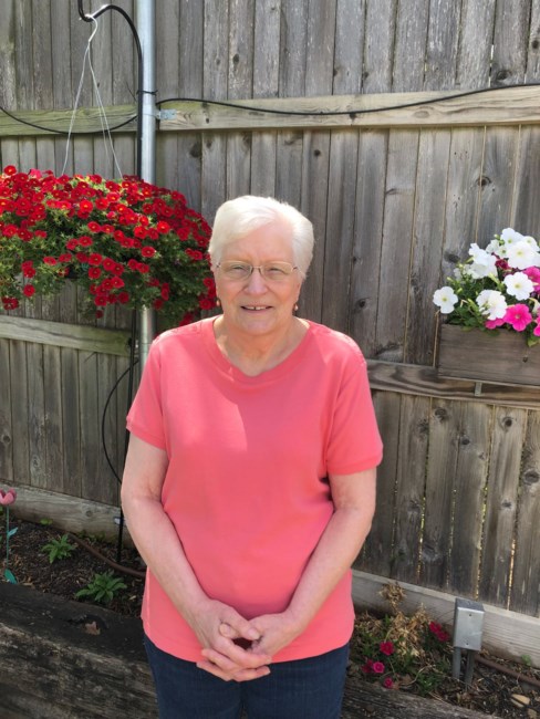 Obituary of Sandra A Naumann