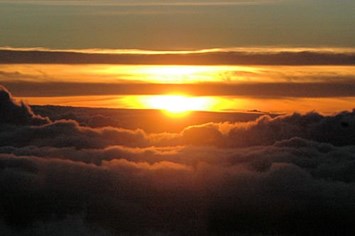 Obituary of David L Montgomery