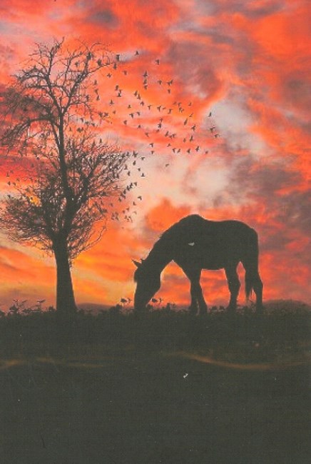 Obituary of Samuel Clyde Roberts