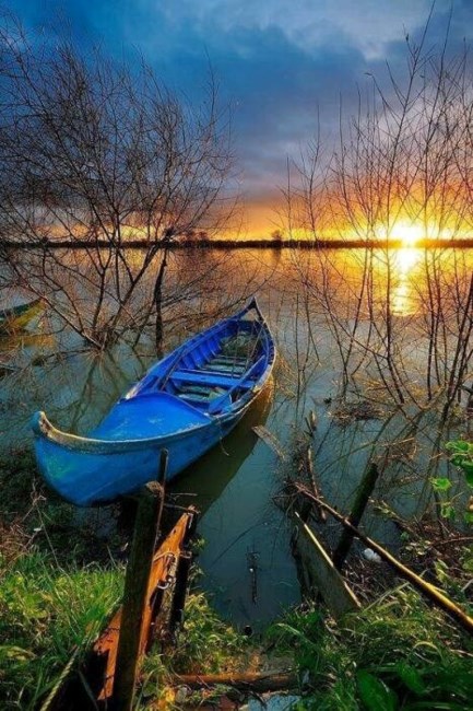 Obituary of Thomas Gordon WASKUL