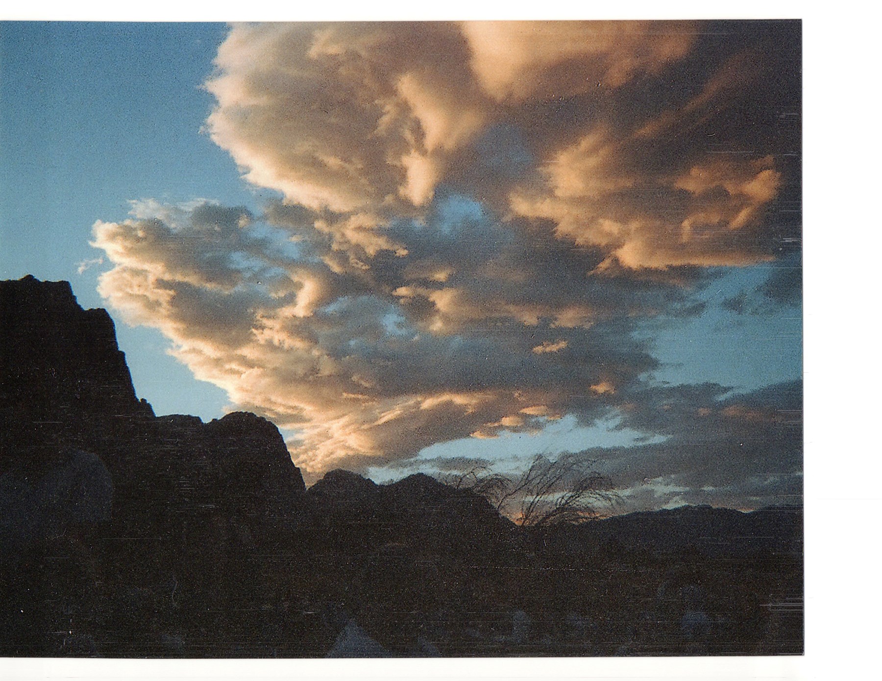 Obituary of Mark Shannon