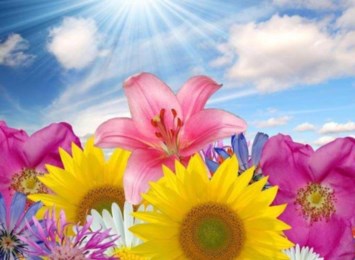 Obituary of Kathryn Markle McHugh