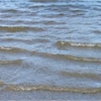 Obituary of Robert L. Toft