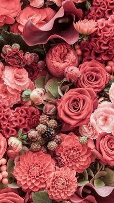 Obituary of Eli Setty