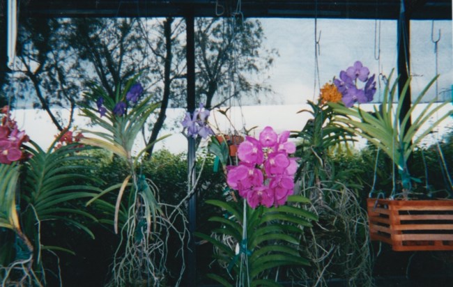 Barbara Humphreys Avis De Deces Stuart Fl