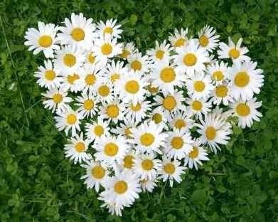 Obituary of Winnifred Jane Lusk