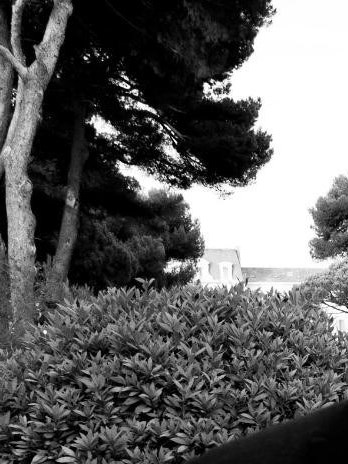 Fayez Sarofim Obituary - Houston, TX