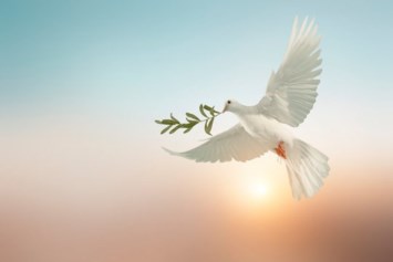 Obituary of Pablo Cesar Llerena