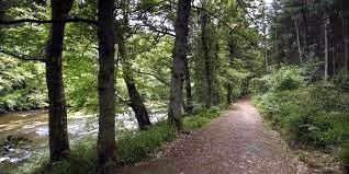 Obituary of Larry Dale Stewart