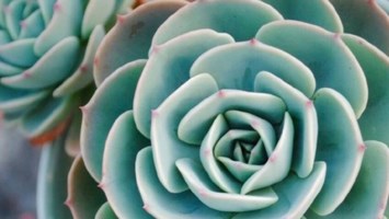 Obituary of Jeffrey Alan Wilson