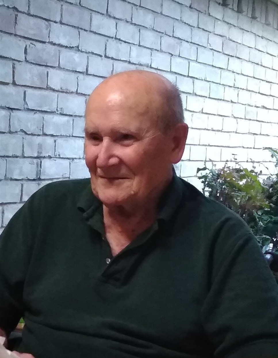 Obituary of Ray N. Rapp