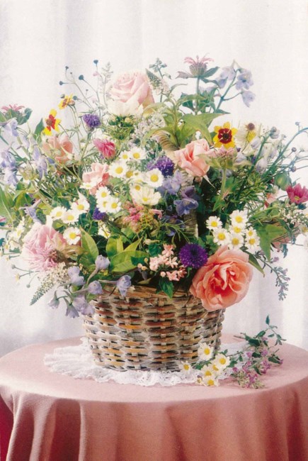 Obituary of Pamela Sue York