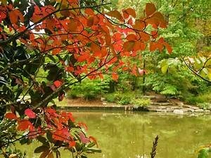 Obituary of Karen Anderson