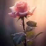 Obituary of Suzanne Georgette Callahan