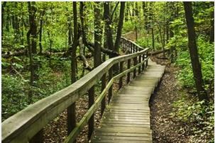 Obituary of Seng Ting Saetern