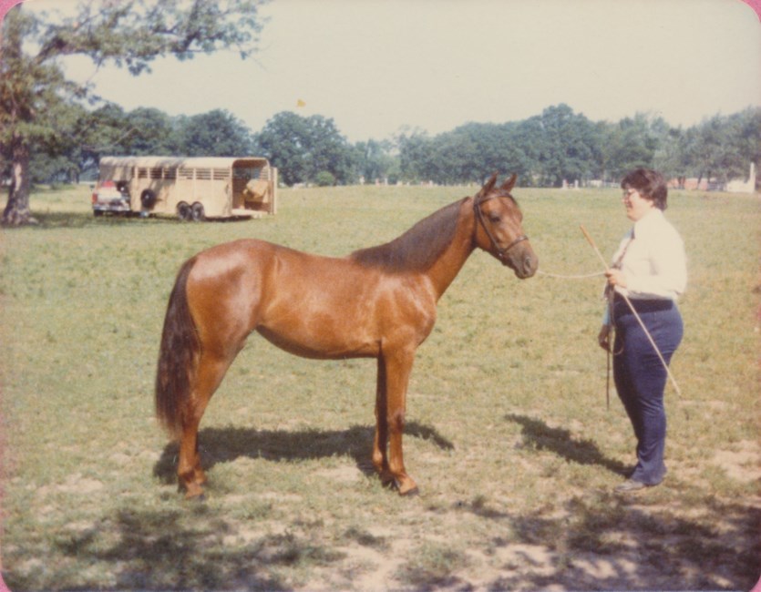 Obituario de Judith Joan Robson